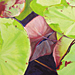 Season�s End